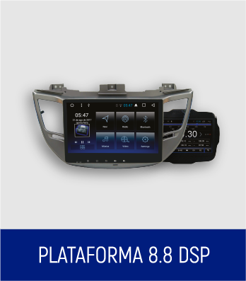 secao2-88dsp1